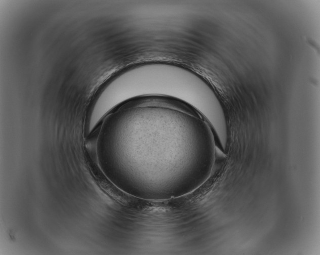 X0000091190352200708231513