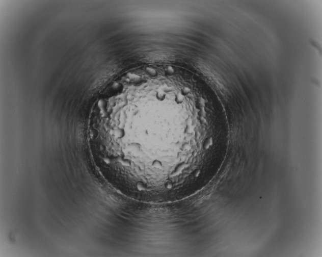 X0000091190353200708231513