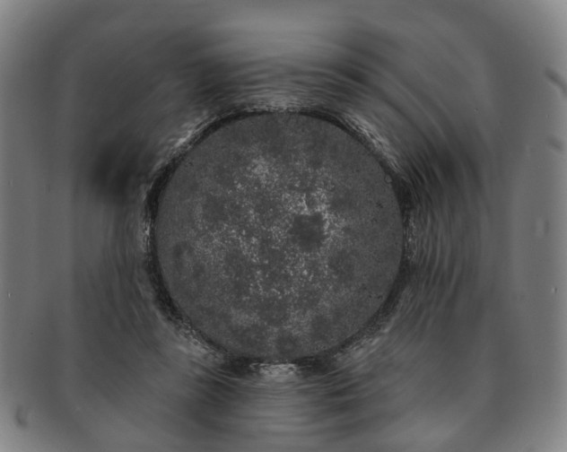 X0000091190355200708231513