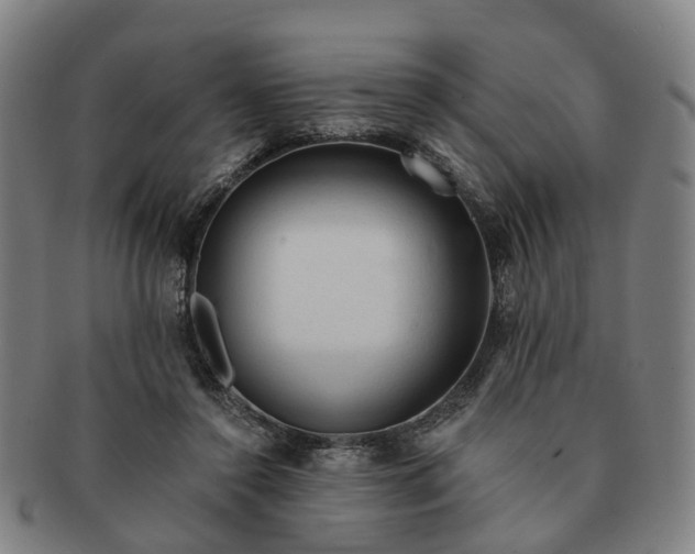 X0000091190356200708231513