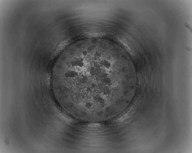 X0000091190357200708231513