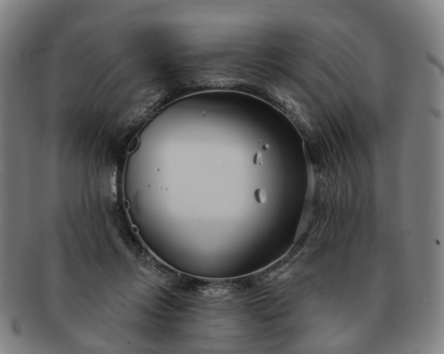 X0000091190358200708231513