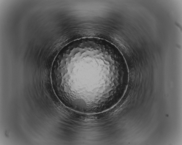 X0000091190359200708231513