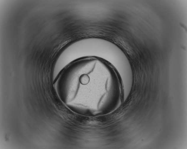 X0000091190360200708231513