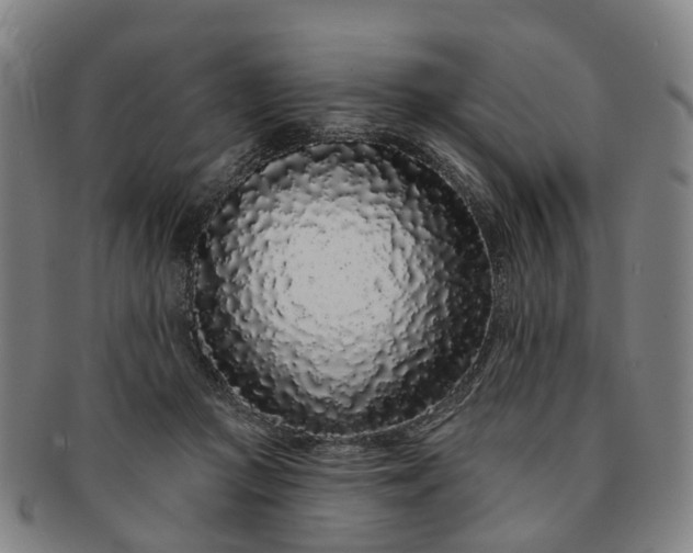 X0000091190361200708231514