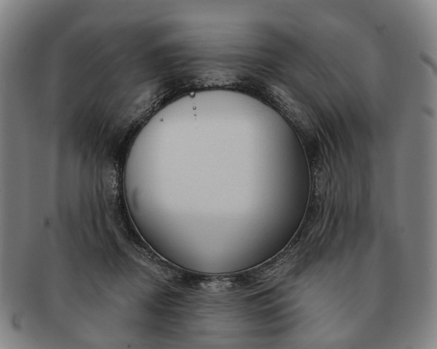 X0000091190362200708231514