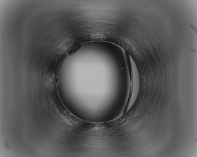 X0000091190364200708231514