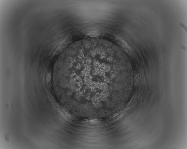 X0000091190365200708231514