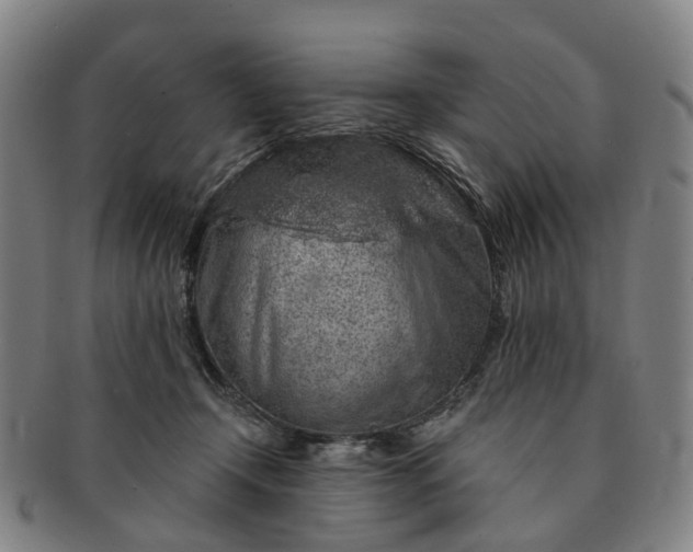 X0000091190366200708231514