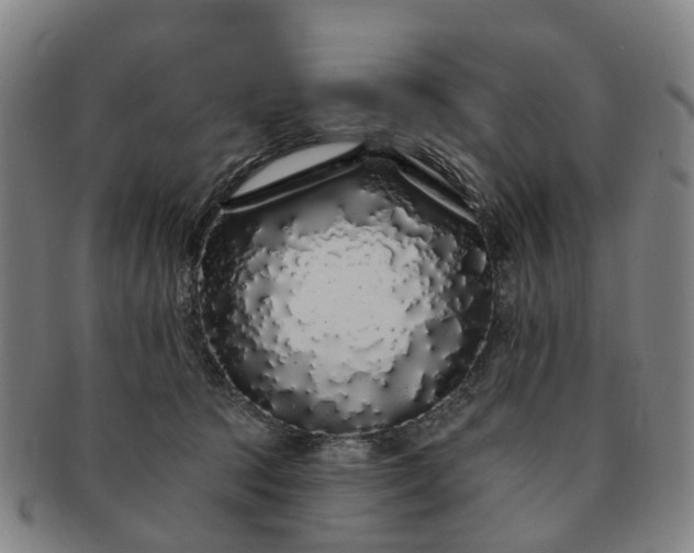 X0000091190369200708231514