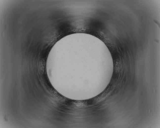 X0000091190370200708231514