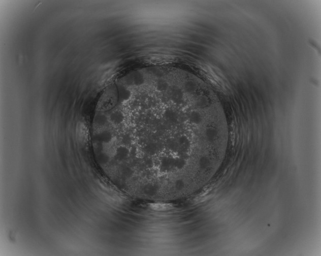 X0000091190371200708231514