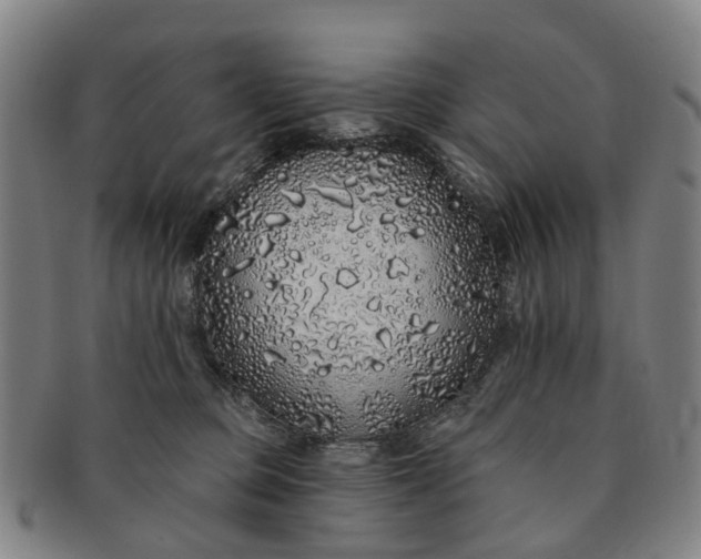 X0000091190373200708231514