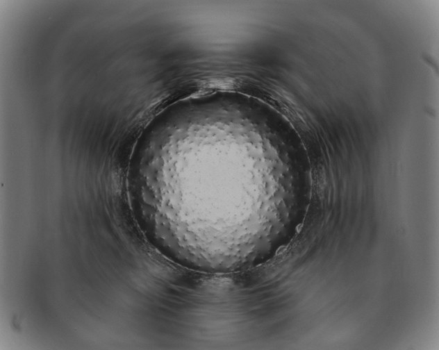 X0000091190374200708231514