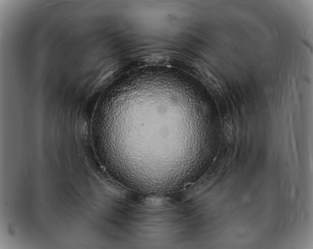 X0000091190375200708231514