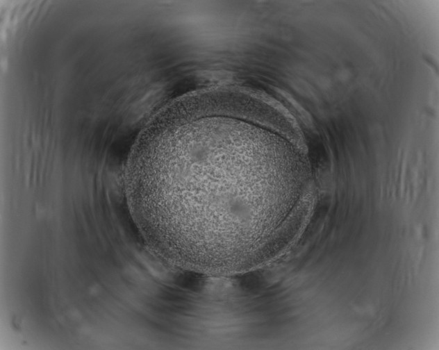 X0000091190376200708231514