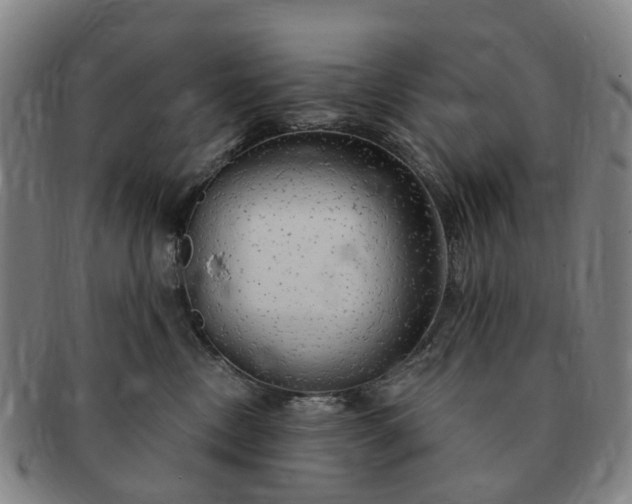 X0000091190378200708231514