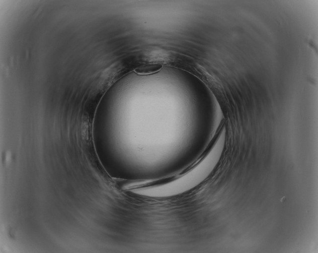 X0000091190379200708231514