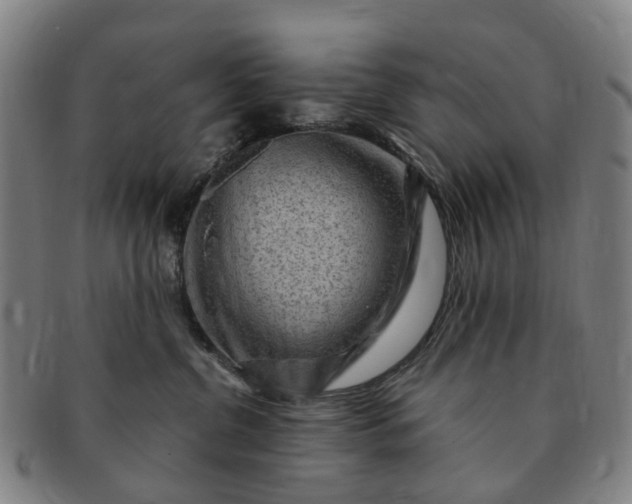 X0000091190380200708231514