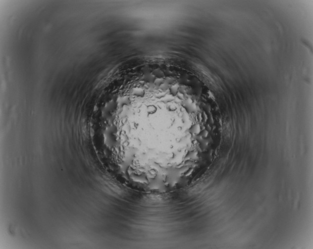 X0000091190381200708231514