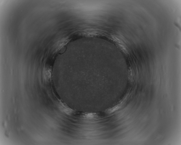 X0000091190382200708231514