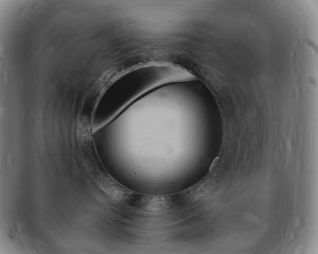 X0000091190384200708231514