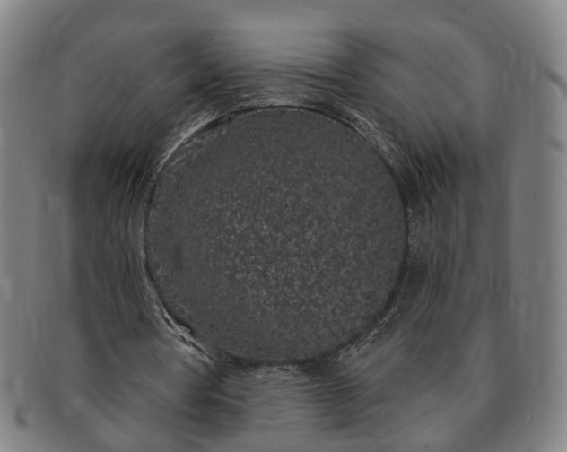 X0000091190386200708231513