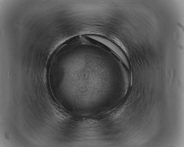 X0000091190387200708231513