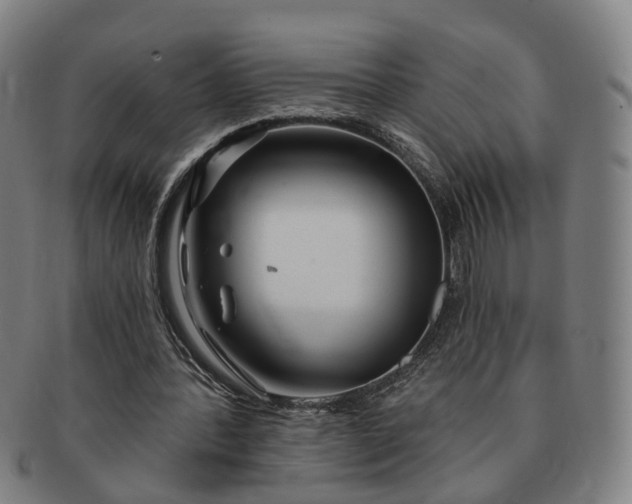 X0000091190388200708231513