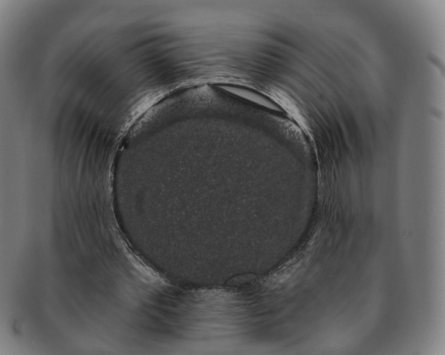 X0000091190389200708231513