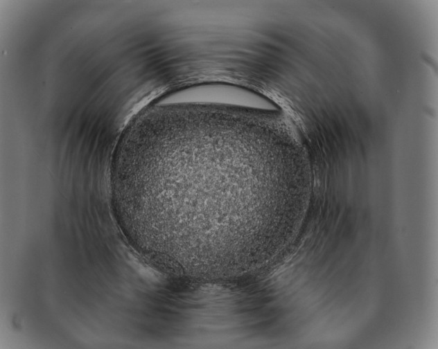 X0000091190390200708231513