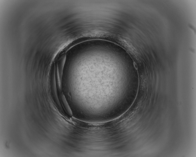 X0000091190392200708231513