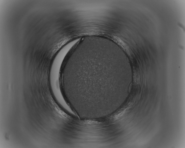 X0000091190393200708231513