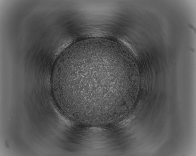 X0000091190394200708231513