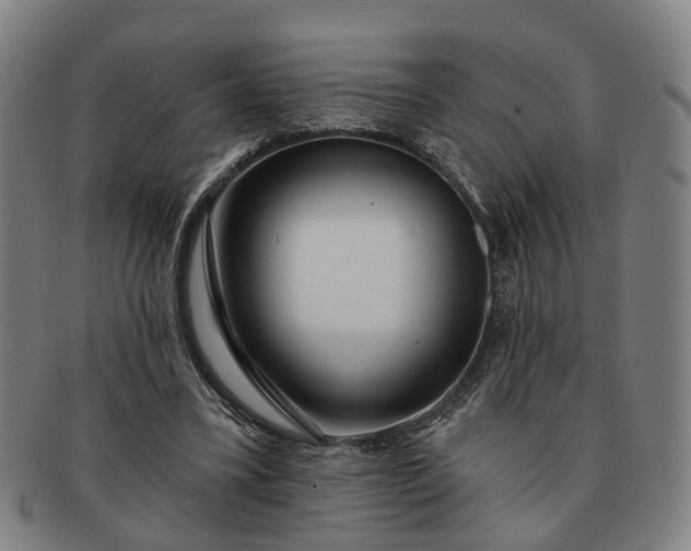 X0000091190395200708231513