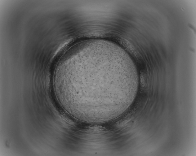 X0000091190396200708231513