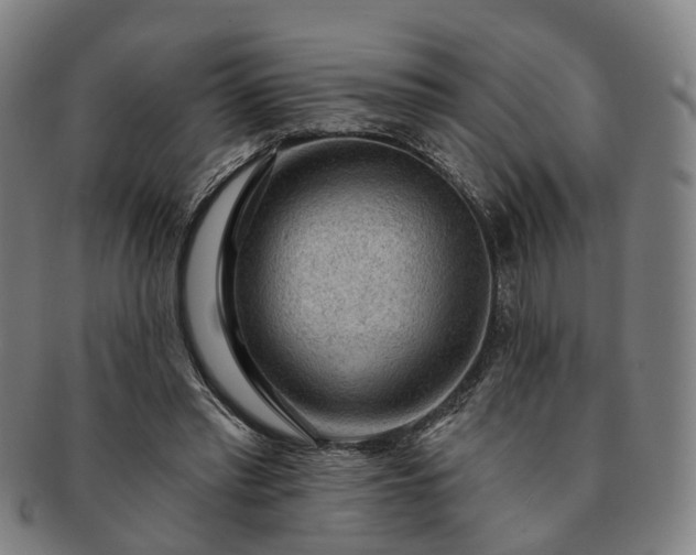 X0000091190397200708231513