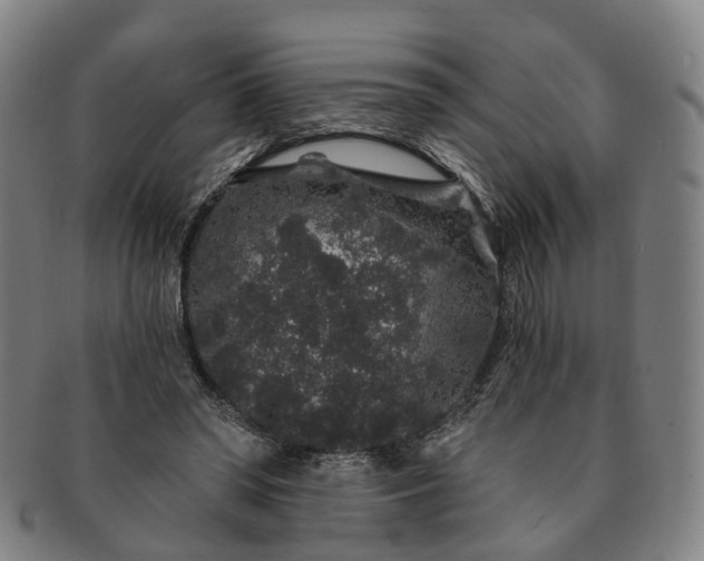 X0000091190398200708231513