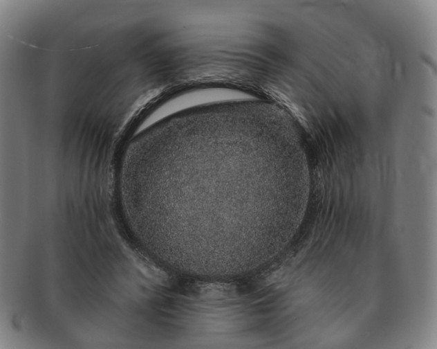 X0000091190400200708231513