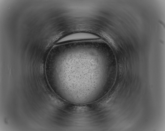 X0000091190401200708231513