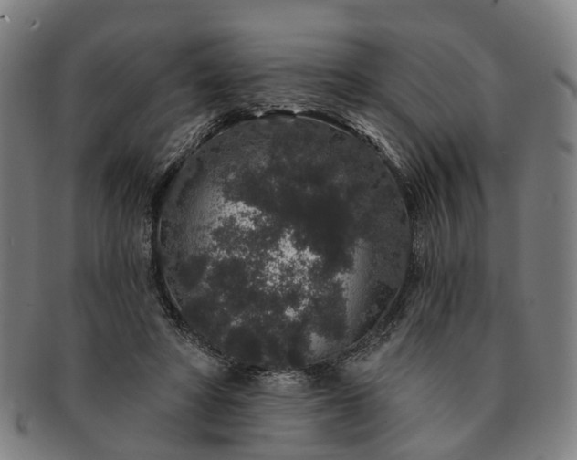 X0000091190402200708231513