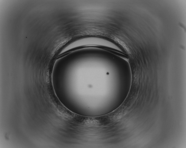 X0000091190403200708231513