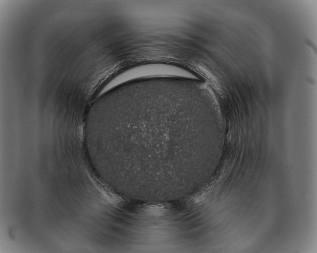 X0000091190405200708231513