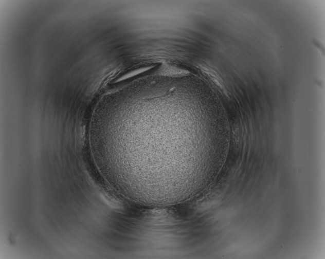 X0000091190406200708231513