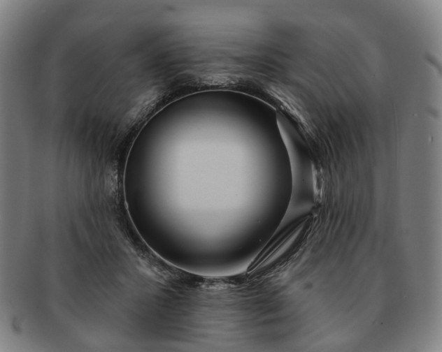 X0000091190407200708231513