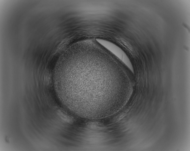 X0000091190408200708231513