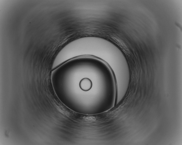 X0000091190409200708231513