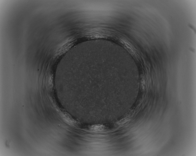 X0000091190410200708231513