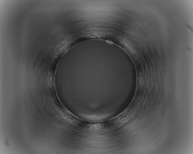 X0000091190411200708231513