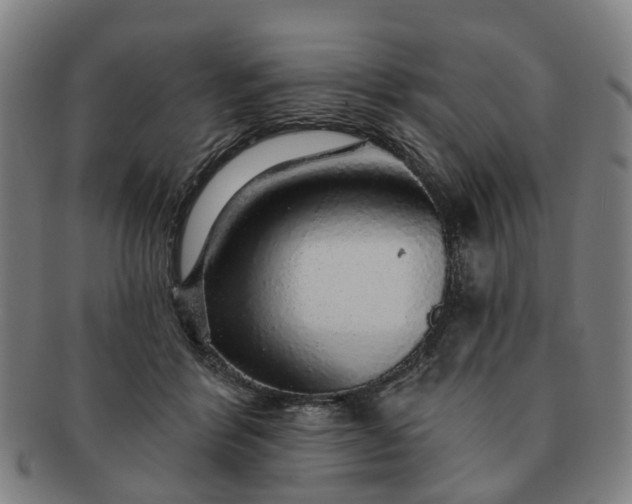 X0000091190412200708231513